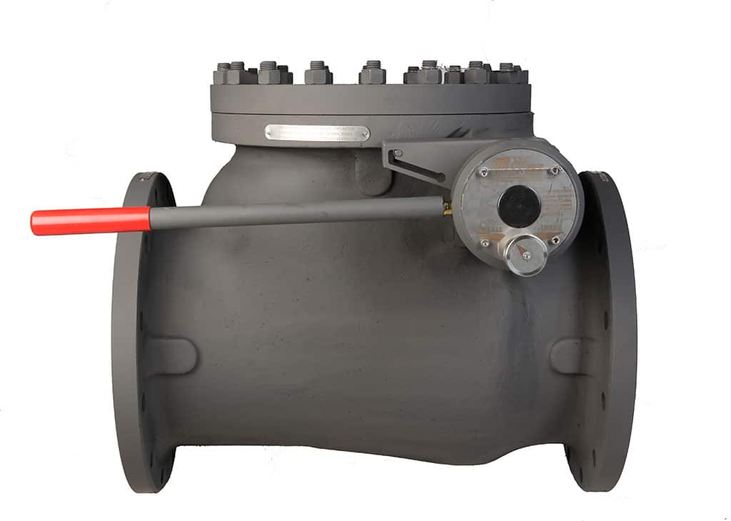 Swing check valve manual override Dutch Valve Vision