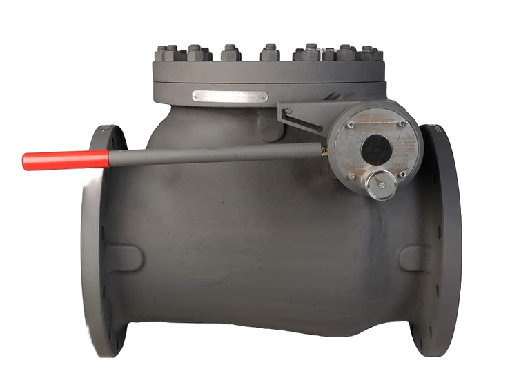 Check valve override