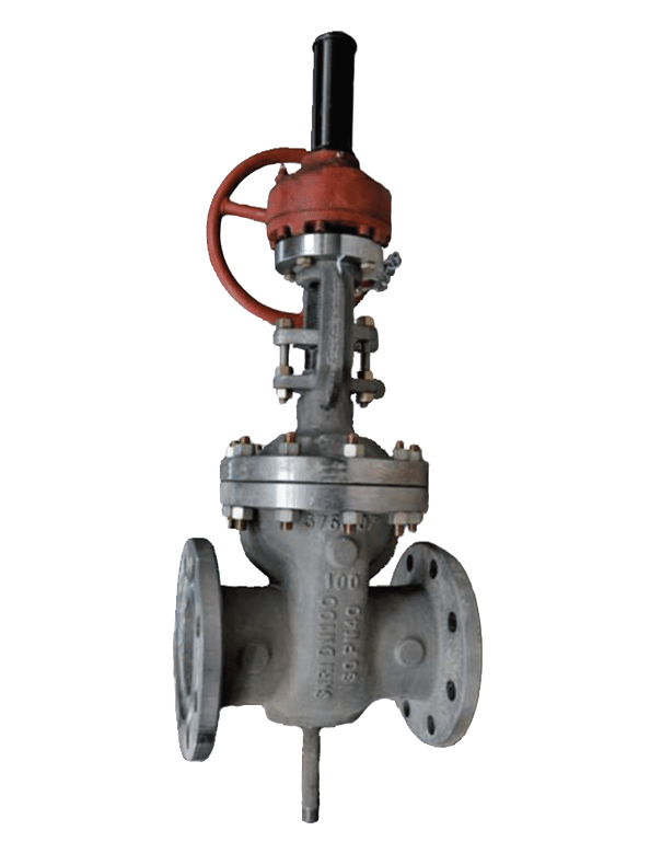 MALBRANQUE VALVE