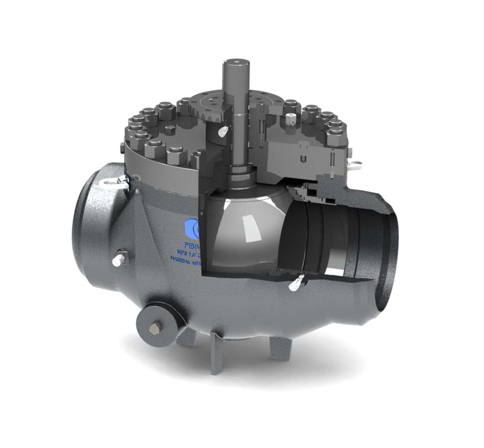 Top Entry ball valve